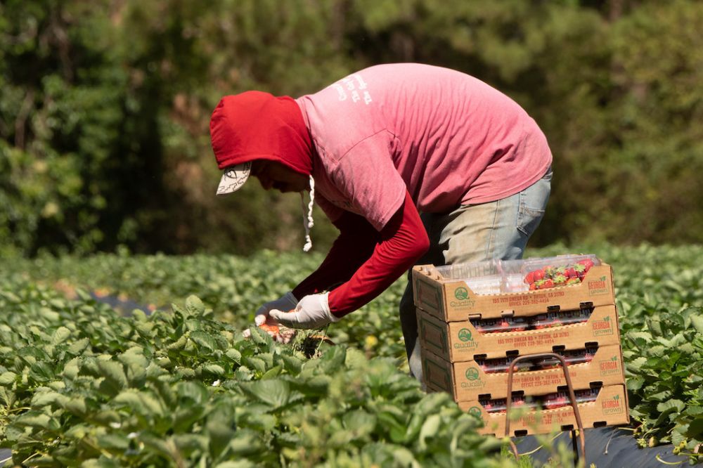 guidelines-for-farmworker-housing