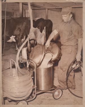 Since 1915, MFBF has been known as &ldquo;Voice of Agriculture&rdquo; in Massachusetts.